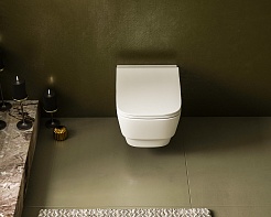 Сиденье для унитаза дюропласт с микролифтом Dreja ENZO